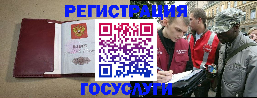 прописка в Коле